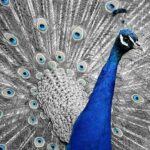 Meda gynekologie: Recenze a proč ji pacienti doporučují