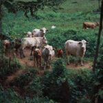 Cystokéla po porodu: Jak se s tím vypořádat?