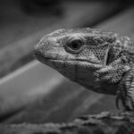 Jak se používá monitor dechu: Tipy a triky pro rodiče