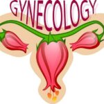 Kdy poprvé na gynekologii: Průvodce pro mladé ženy