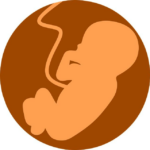 Venušiny Kuličky Po Porodu: Jak Pomáhají Při Rekonvalescenci