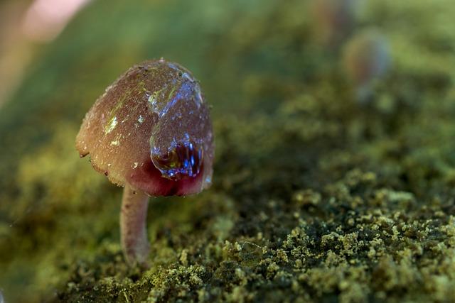 Krvácení Po Porodu: Kdy Je Normální a Kdy Navštívit Lékaře 6 Jaké jsou možné komplikace spojené s nadměrným krvácením po porodu